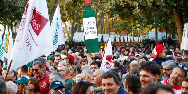 Crise viticole en France : les quatre raisons qui expliquent le malaise profond du secteur