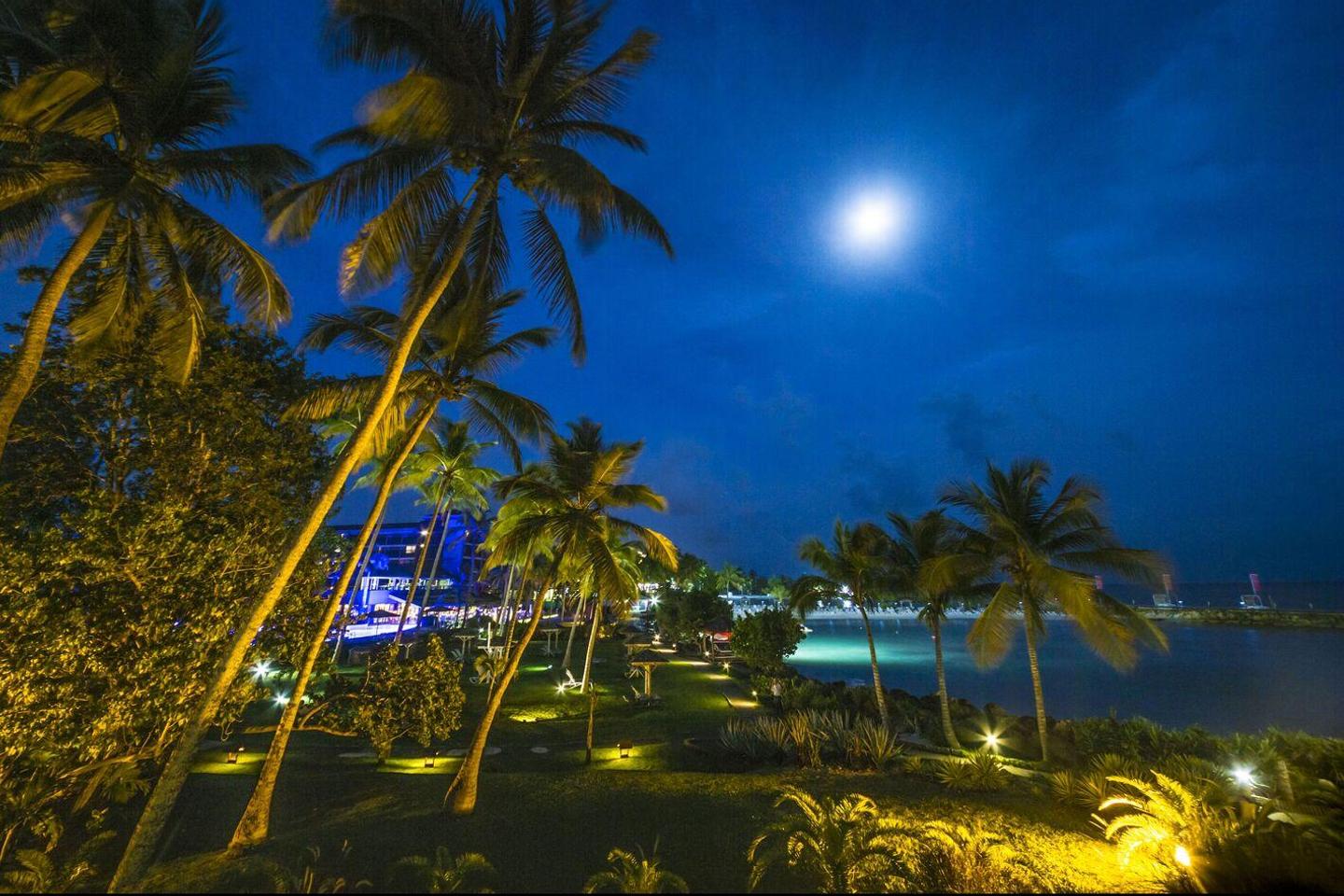 En Guadeloupe, des milliers de lampes LED installées abusivement perturbent la faune nocturne