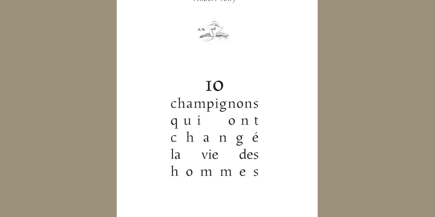 Ces 10 champignons qui ont marqué l’histoire de l’humanité : ergot du seigle, amadou, amanite tue-mouches, mérule…