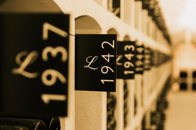 Adega Lanson, em fevereiro de 2025.