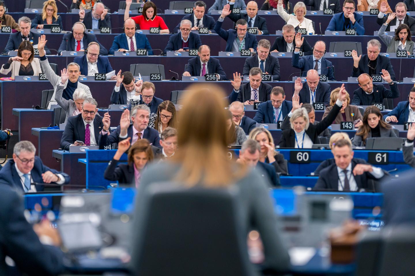 Déforestation : droite et extrême droite s’allient pour démanteler la loi européenne