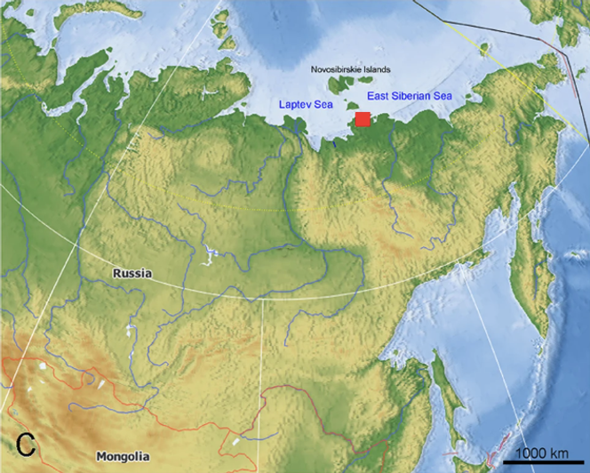 Région dans laquelle le corps de Yuka a été retrouvé dans le nord-est sibérien, près de la mer de Laptev.