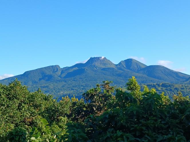 Le panache qui descend sur le flanc du volcan de la Soufrière provient des fumerolles du cratère sud. Guadeloupe, le 21 novembre 2025.