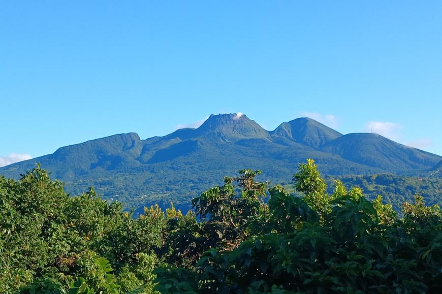 Le panache sur le flanc du volcan de la Soufrière provient des fumerolles du cratère sud, en Guadeloupe, le 21 novembre 2025.