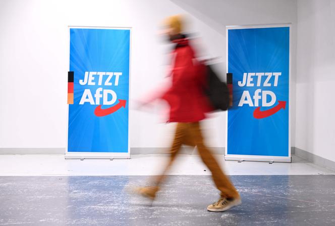 Lors d’un congrès du parti d’extrême droite Alternative pour l’Allemagne (AfD), à Giessen (Allemagne), le 29&nbsp;novembre 2025.