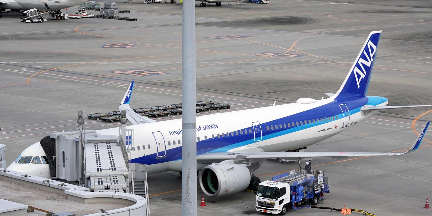 la majorité des avions cloués au sol aptes à redécoller ; les perturbations sont limitées, selon le ministre des transports