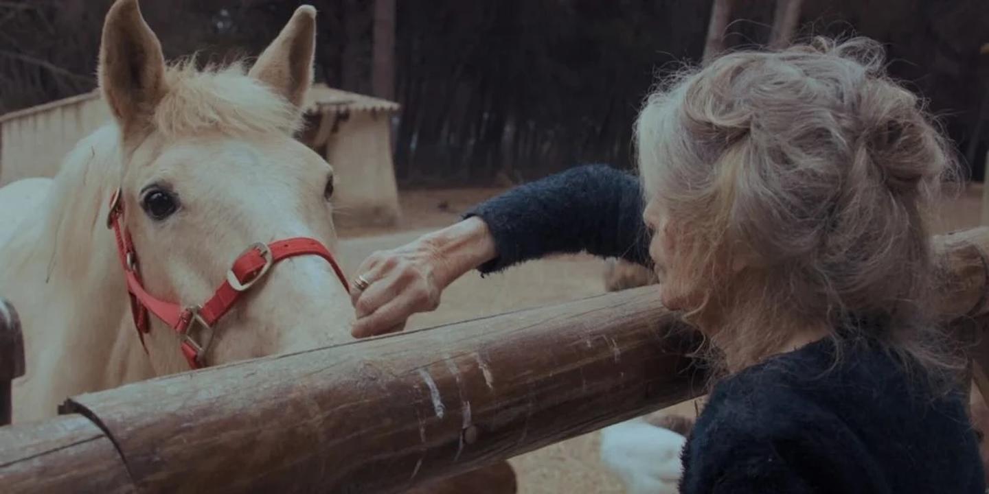 « Bardot » : de « BB » aux bébés phoques