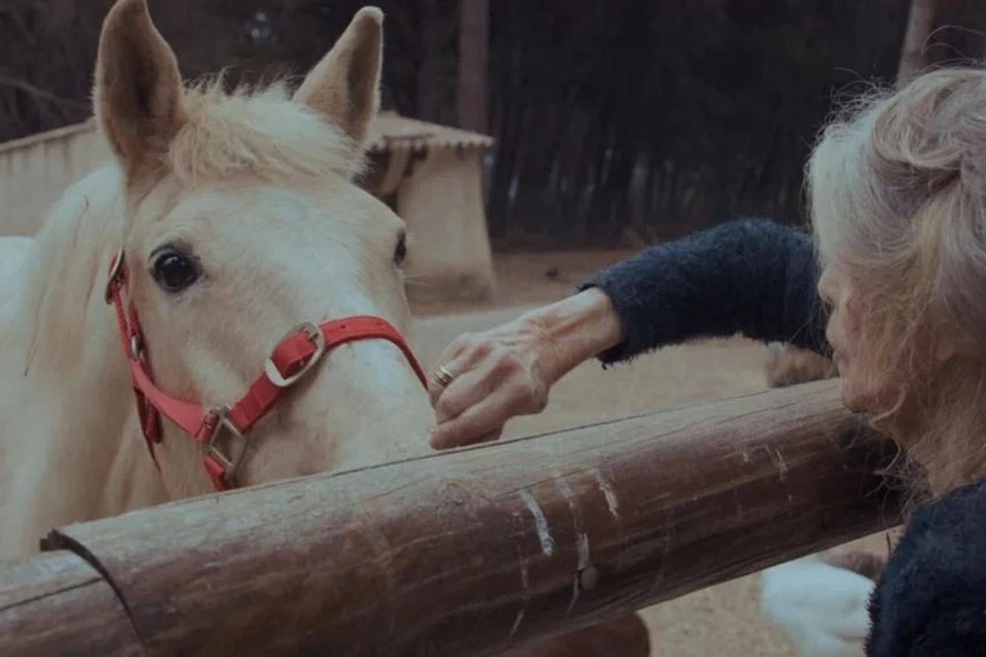 Â«Â BardotÂ Â»Â : de Â«Â BBÂ Â» aux bÃ©bÃ©s phoques