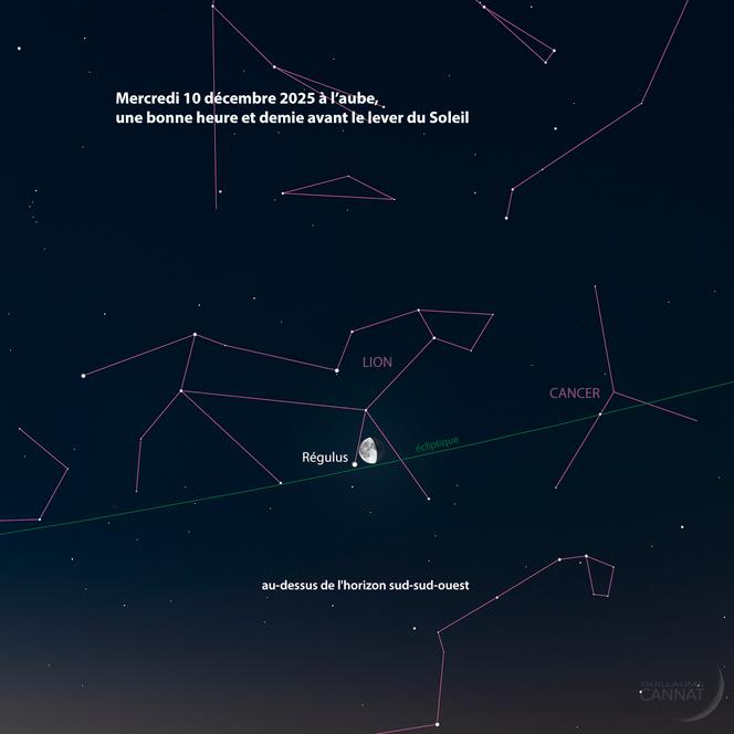 Mercredi 10 décembre à l’orée de l’aube.