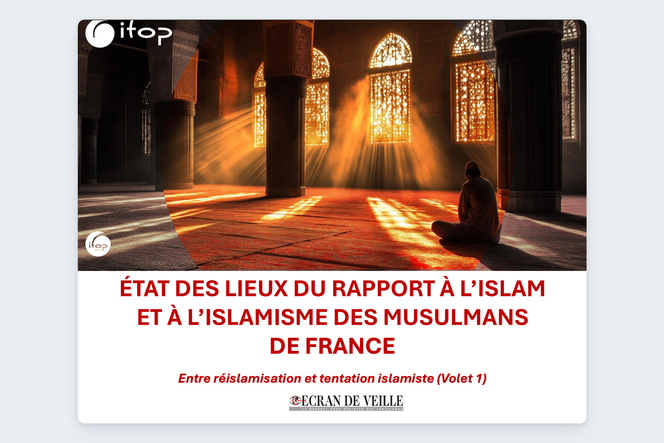 Extrait de l’analyse de l’IFOP sur le premier volet du sondage sur les musulmans de France commandé par la revue « Ecran de veille ».