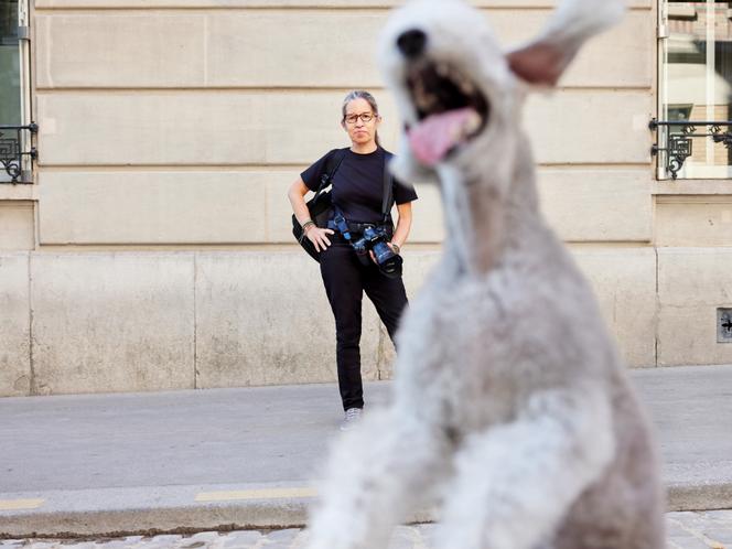 Carmen Gonzalez, photographe animalière, et Waldo, un bedlington terrier, à Paris, le 19&nbsp;juin 2025.