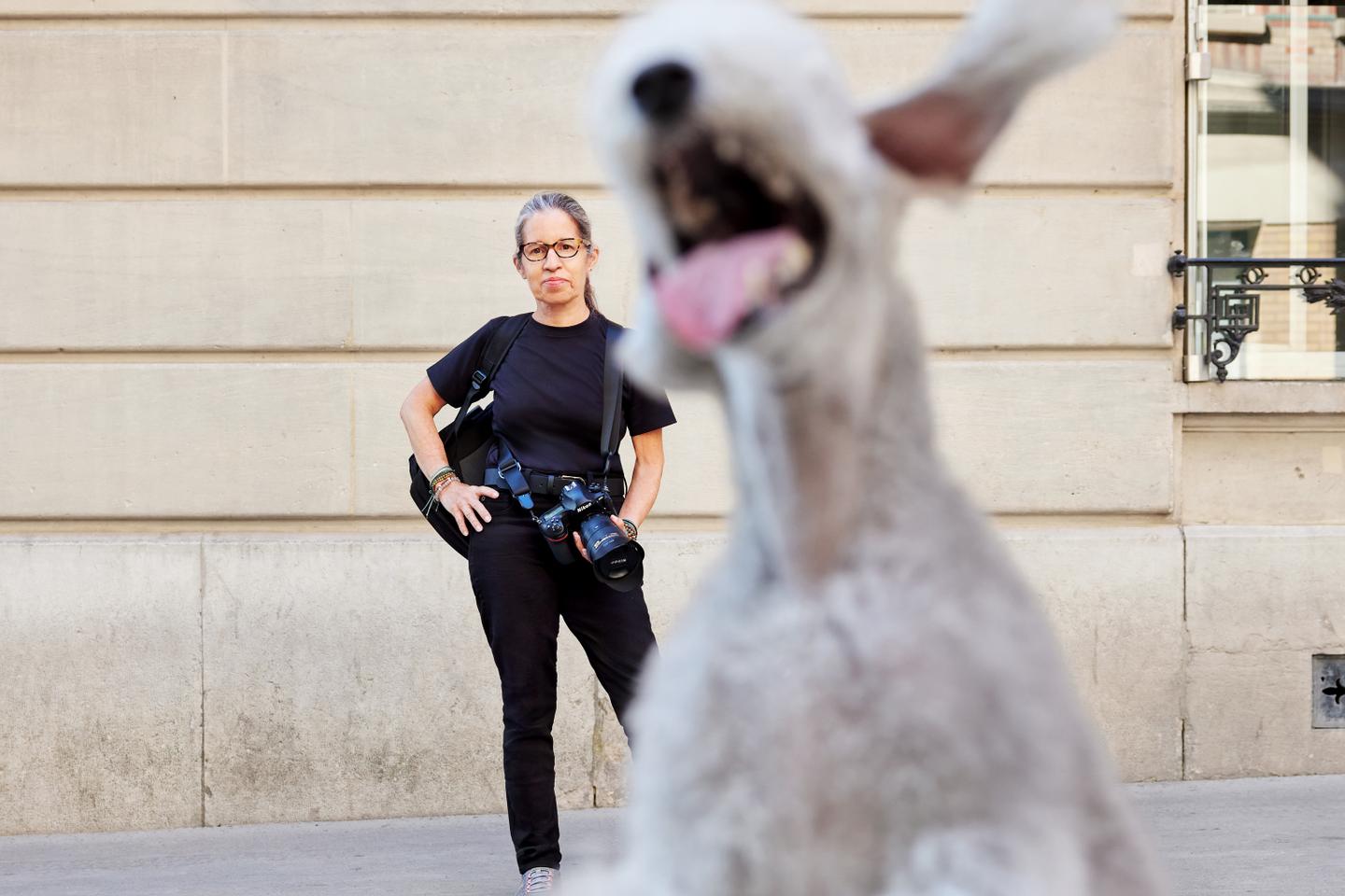 Photographe pour chiens, un nouveau métier de niche : « L’essentiel est d’éviter la langue pendante sur les clichés » Photographe pour chiens, un nouveau métier de niche : « L’essentiel est d’éviter la langue pendante sur les clichés »