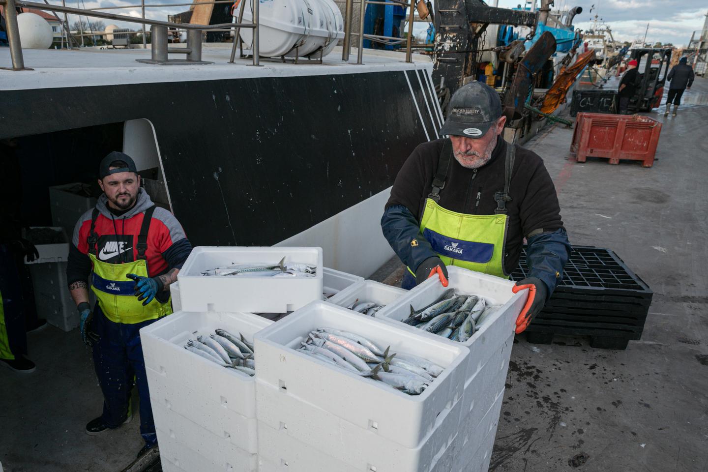 En MÃ©diterranÃ©e, des merlus en pÃ©ril et des pÃªcheurs Ã  la peine
