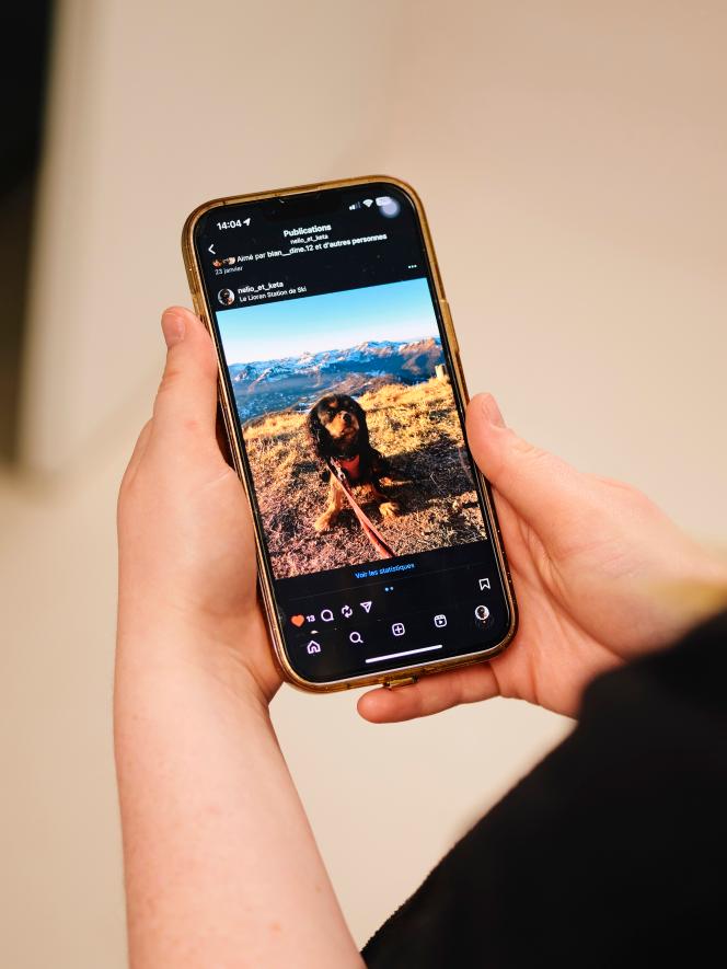 A Maisons-Laffitte (Yvelines), le 18 novembre 2025.