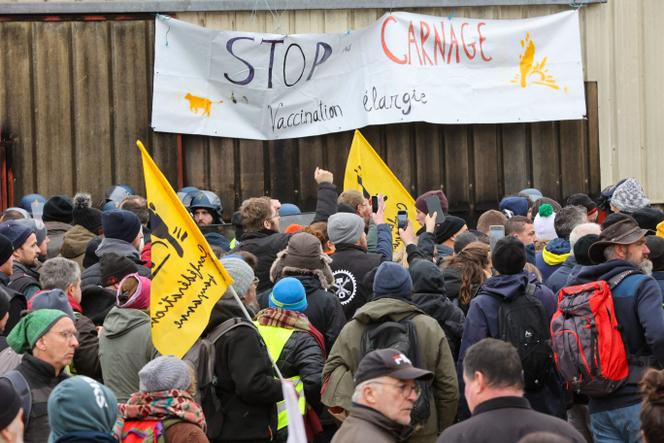 Rassemblement de manifestants contre l’abattage de vaches à Pouilley-Français (Doubs), le 2 décembre 2025.