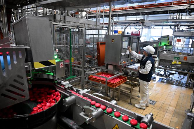 L’usine Bel, qui modernise son outil de production avec des emballages en papier à la place du plastique, à Evron (Mayenne), le 19 novembre 2025.