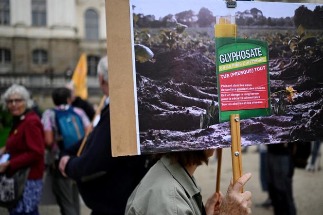 Une personne brandit une pancarte lors d’un rassemblement, pour protester contre l’autorisation de l’herbicide à base de glyphosate, à Rennes, le 12 octobre 2023.