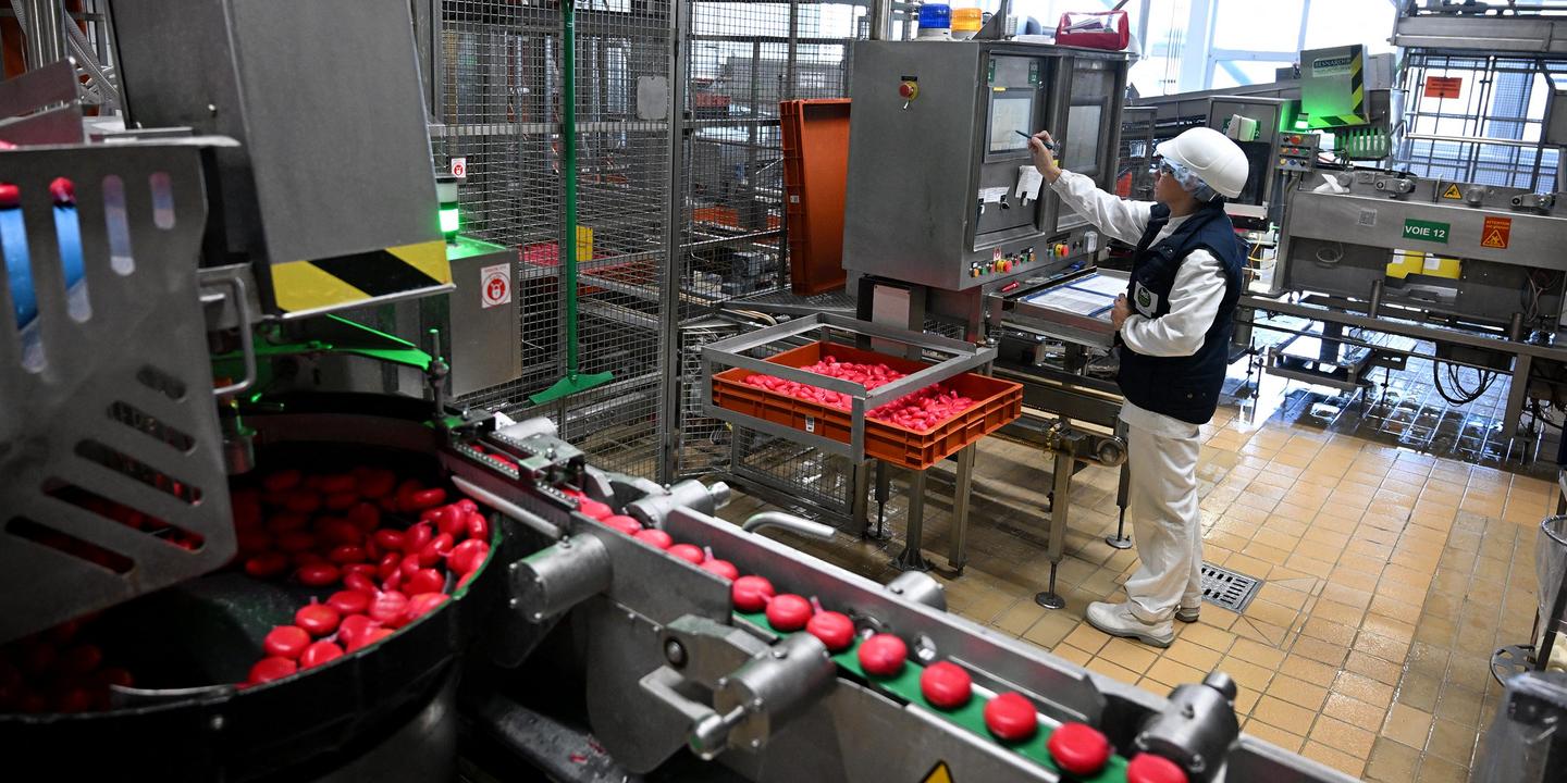 Les traitements antiobésité font le succès du Babybel aux Etats-Unis