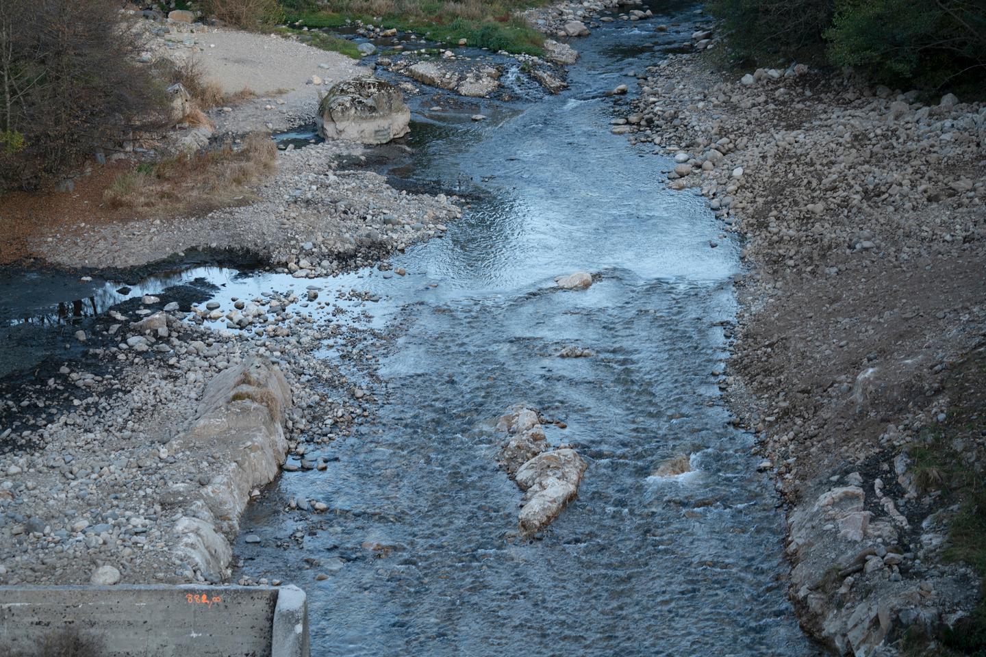 Des Nantais veulent faire de la Loire une personne Des Nantais veulent faire de la Loire une personne