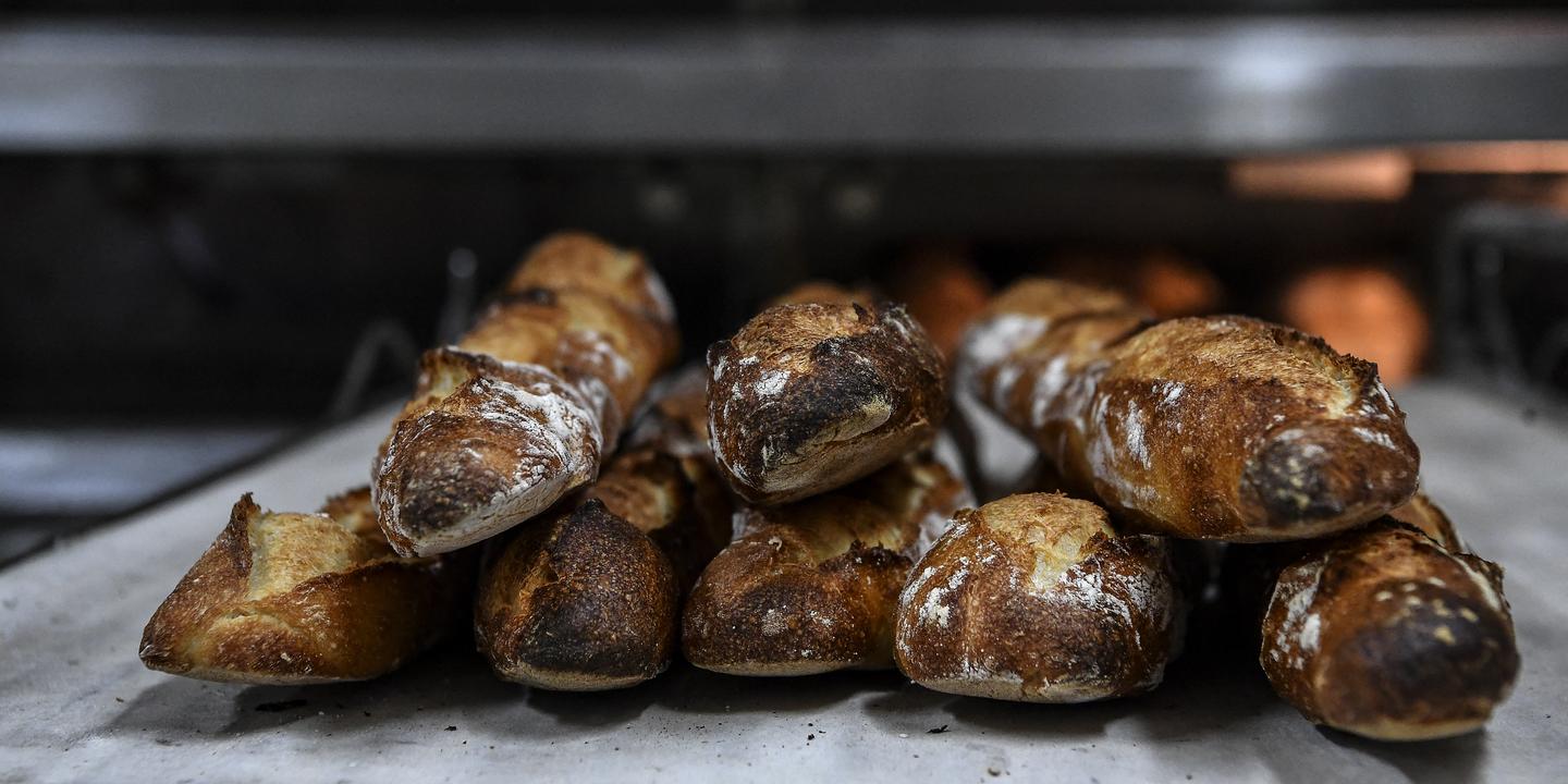 PFAS : les aliments à base de céréales sont aussi massivement contaminés par le TFA