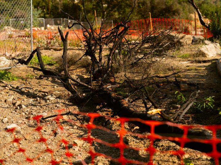 A Altadena (Californie), le 3 décembre 2025.