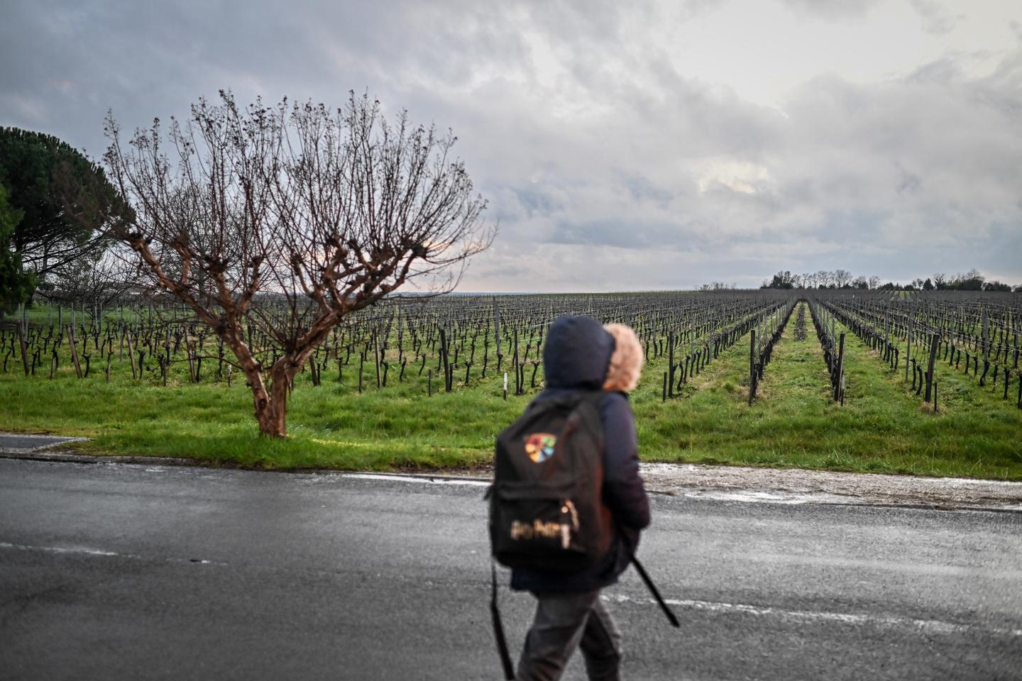 Plus de 1,7 million d’écoliers français soumis à une forte « pression pesticides », selon une cartographie inédite