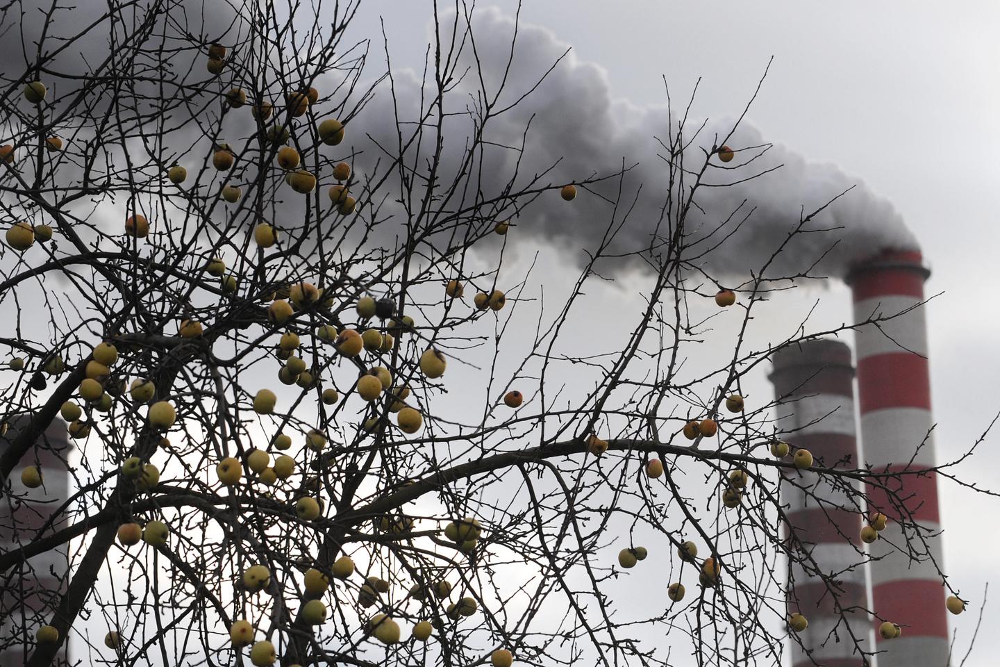 Les réseaux de chaleur urbains, un fort levier de croissance pour Veolia Les réseaux de chaleur urbains, un fort levier de croissance pour Veolia