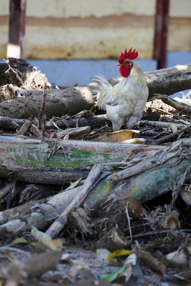 Après les crues éclair meurtrières qui ont frappé Sumatra, à Batang Toru (Indonésie), le 6 décembre 2025. 