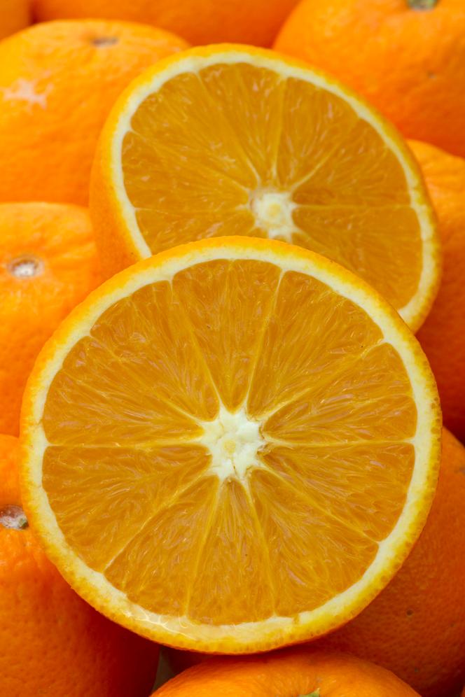 Oranges («&nbsp;Citrus sinensis&nbsp;»), en février&nbsp;2014.