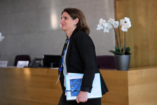 La vice-présidente de la Commission européenne chargée de la concurrence, Teresa Ribera, au siège de l’UE, à Bruxelles, le 19 mars 2025.