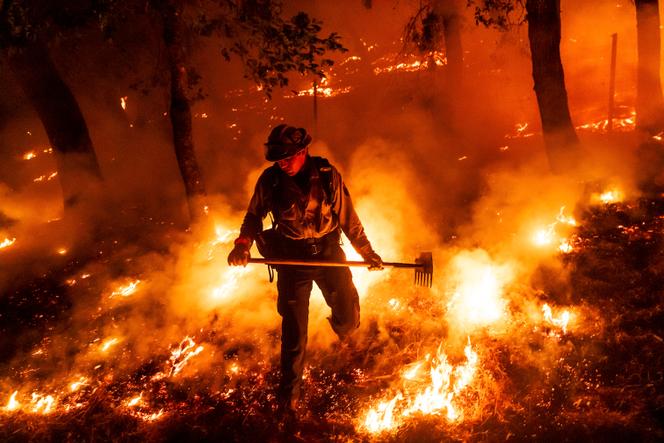 Un pompier lutte contre l’incendie de Pickett qui fait rage dans la région d’Aetna Springs, en Californie (Etats-Unis), le 23 août 2025. 