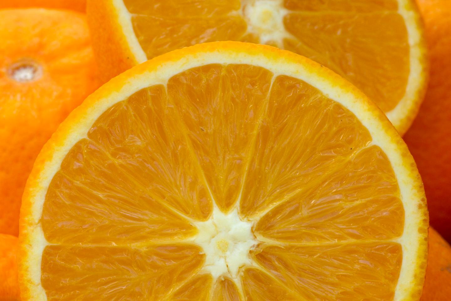 L’orange de Noël, née en Chine de parents inconnus