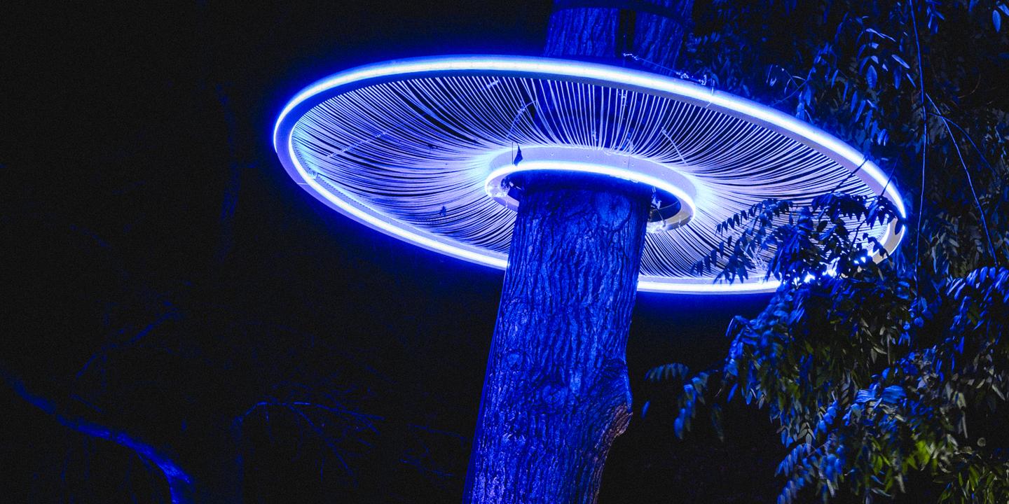 Que faire, que voir, où aller ? L’agenda culturel et art de vivre en France à partir du 13 décembre