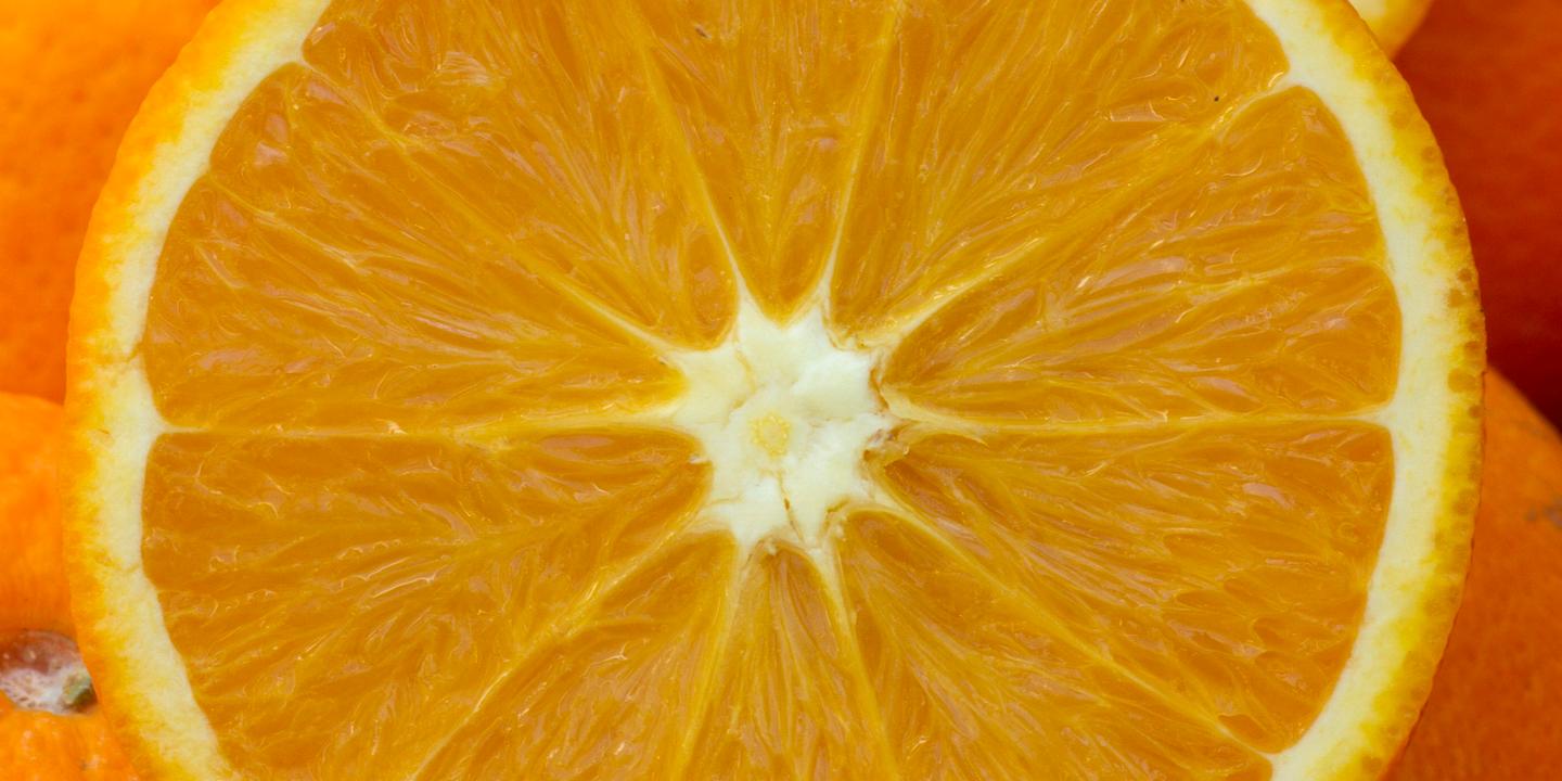 L’orange de Noël, née en Chine de parents inconnus