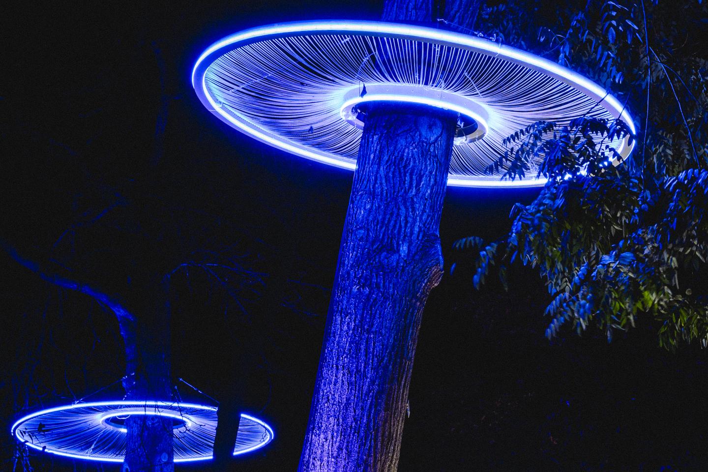 Que faire, que voir, où aller ? L’agenda culturel et art de vivre en France à partir du 13 décembre Que faire, que voir, où aller ? L’agenda culturel et art de vivre en France à partir du 13 décembre