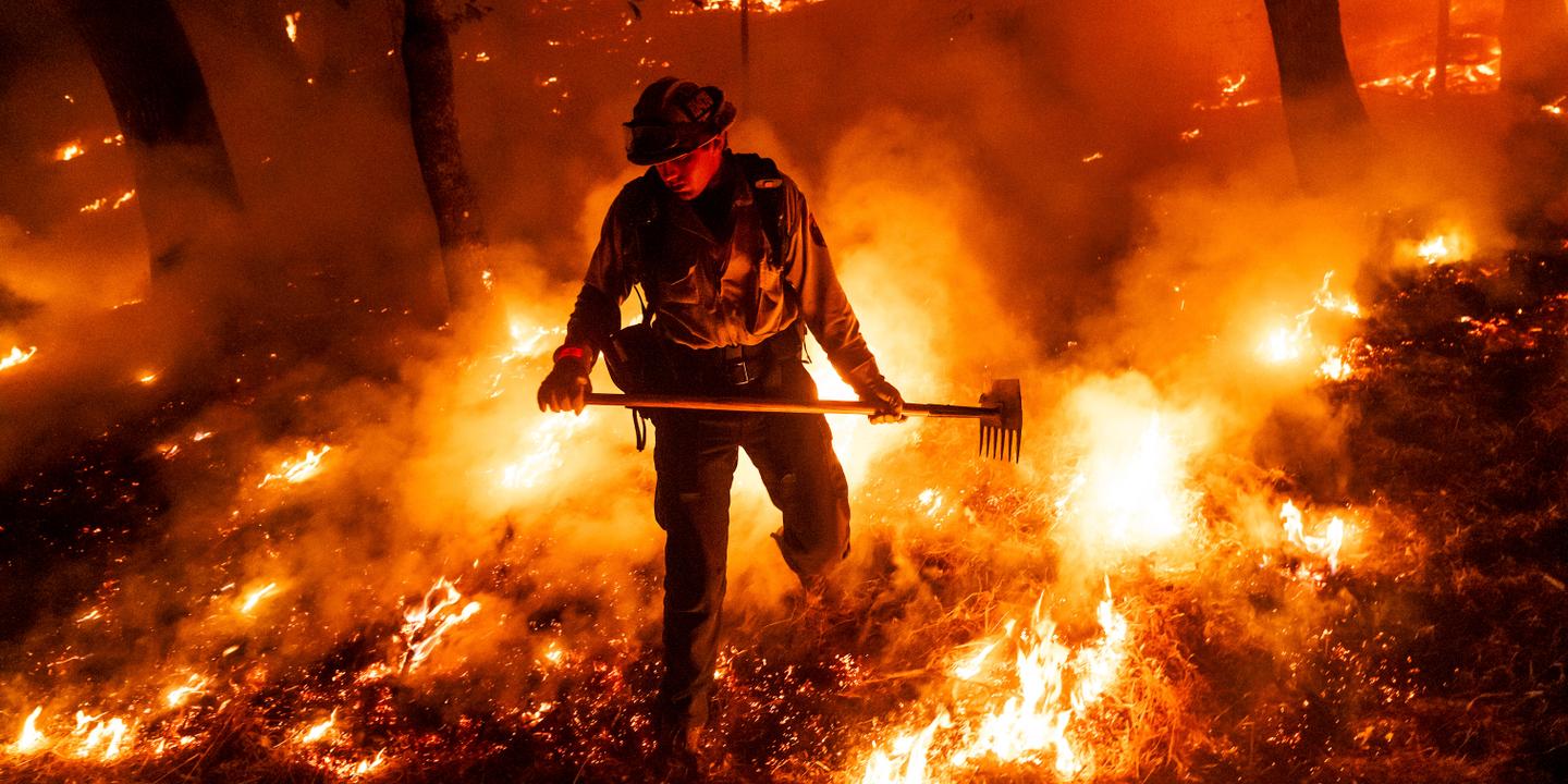 Retour sur 2025 : au Canada, en Californie et au Japon, des incendies hors normes