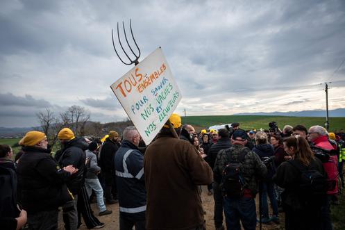 Des agriculteurs manifestent contre l’abattage du troupeau aux Bordes-sur-Arize, en Ariège, le 10 décembre 2025.