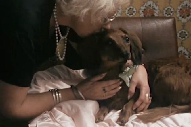 Minie, chien empaillé, dans un extrait de l’épisode « J’aurai ta peau » de l’émission « Strip-tease » (1993).