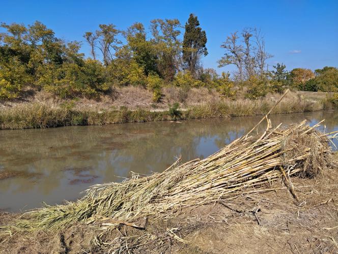 Le Canal du Midi, dans le Roussillon, en octobre 2025.
