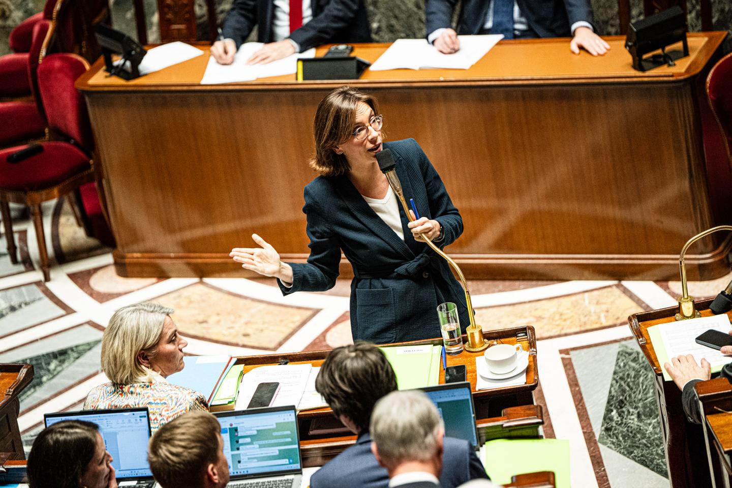 Amélie de Montchalin, la ministre qui incarne la méthode Lecornu Amélie de Montchalin, la ministre qui incarne la méthode Lecornu