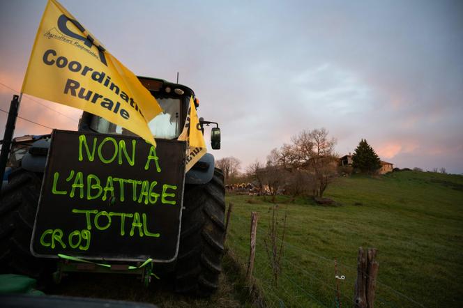 Des agriculteurs se rassemblent pour protester contre l’abattage d’un troupeau de 200 vaches, parmi lesquelles un cas de dermatose nodulaire contagieuse a été détecté, aux Bordes-sur-Arize (Ariège), le 10 décembre 2025.