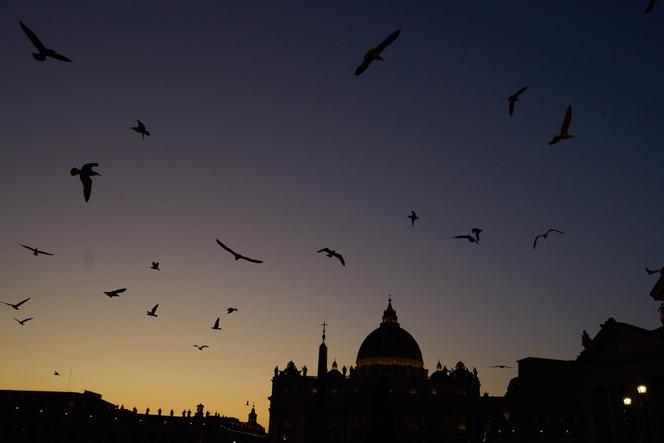 La basilique Saint-Pierre, à Rome, le 10 décembre 2025. 