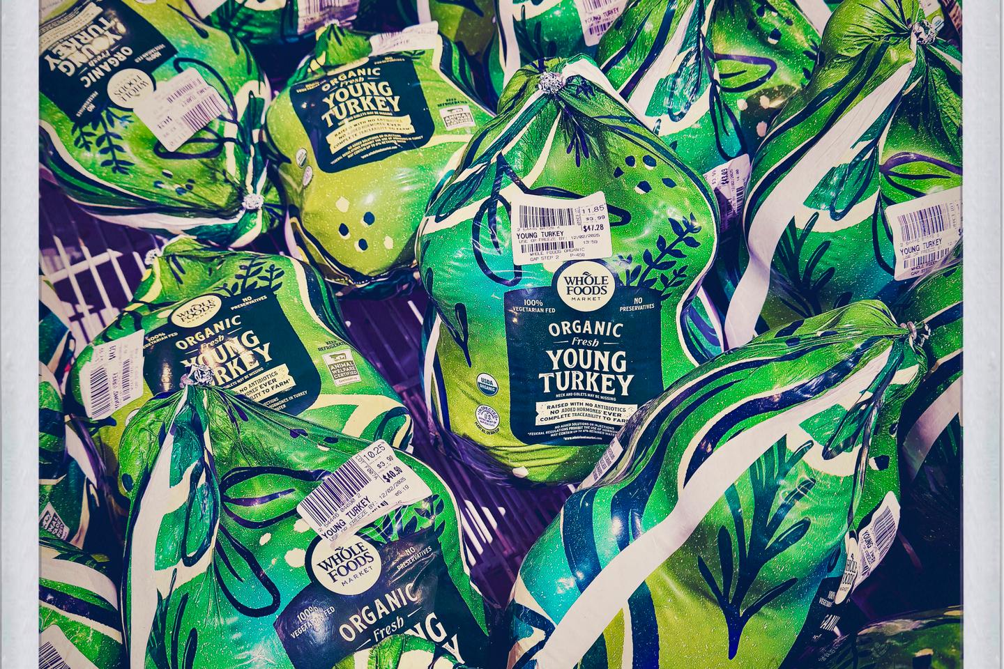 A Thanksgiving, la dinde est-elle démocrate ?