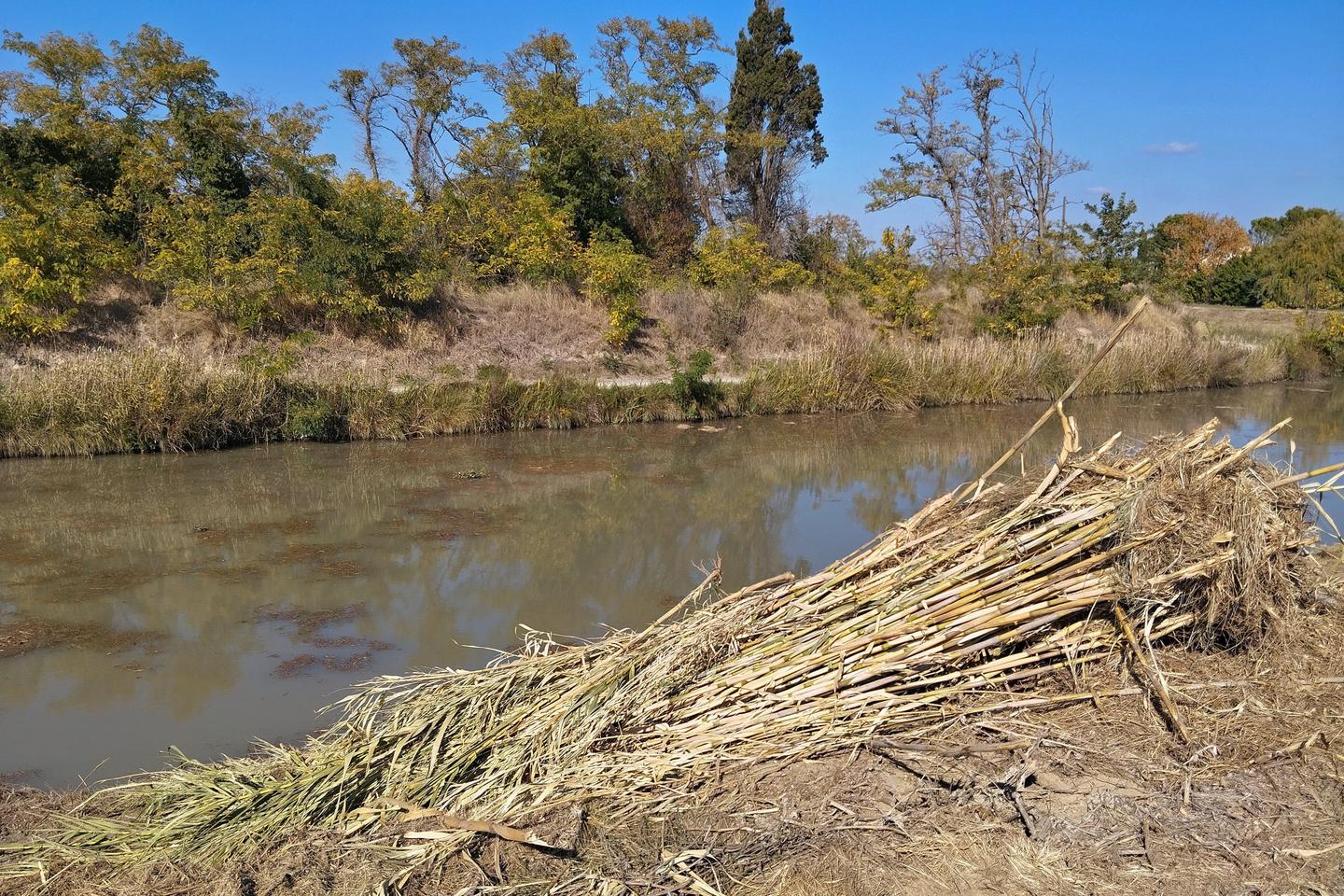 La plupart des nappes phréatiques françaises se rechargent, mais certaines régions restent à un niveau préoccupant La plupart des nappes phréatiques françaises se rechargent, mais certaines régions restent à un niveau préoccupant