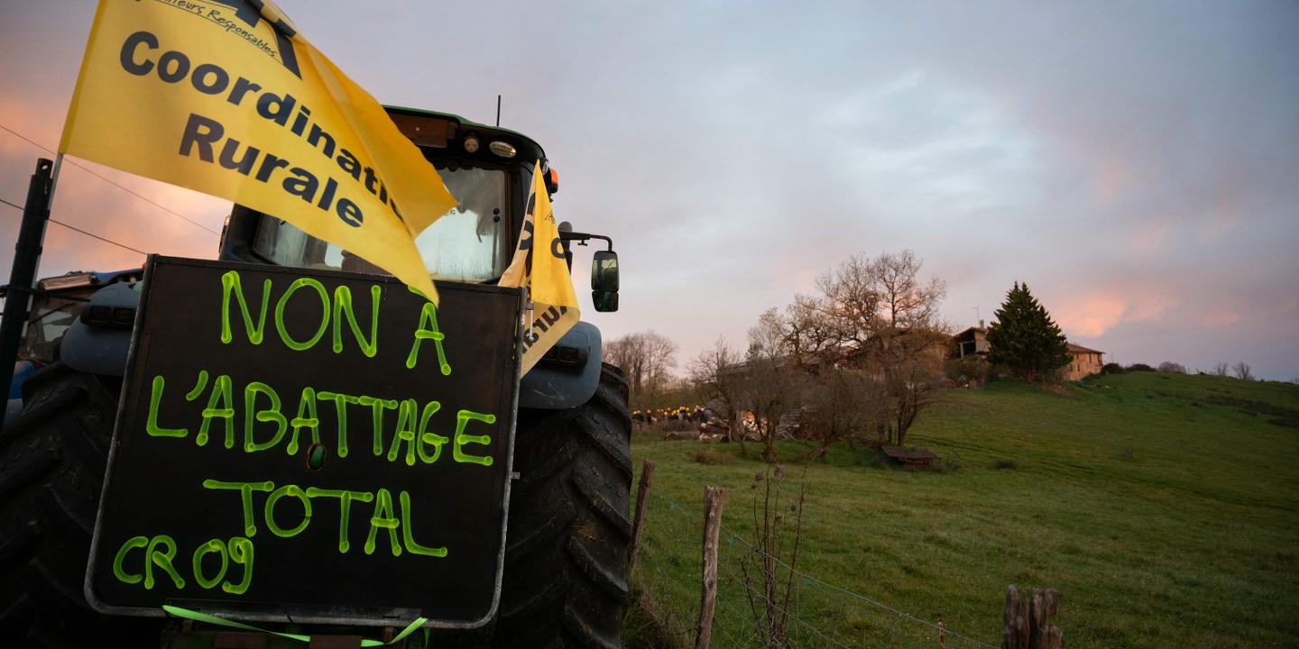 Dermatose en Ariège : plusieurs centaines d’agriculteurs mobilisés en soutien à un éleveur