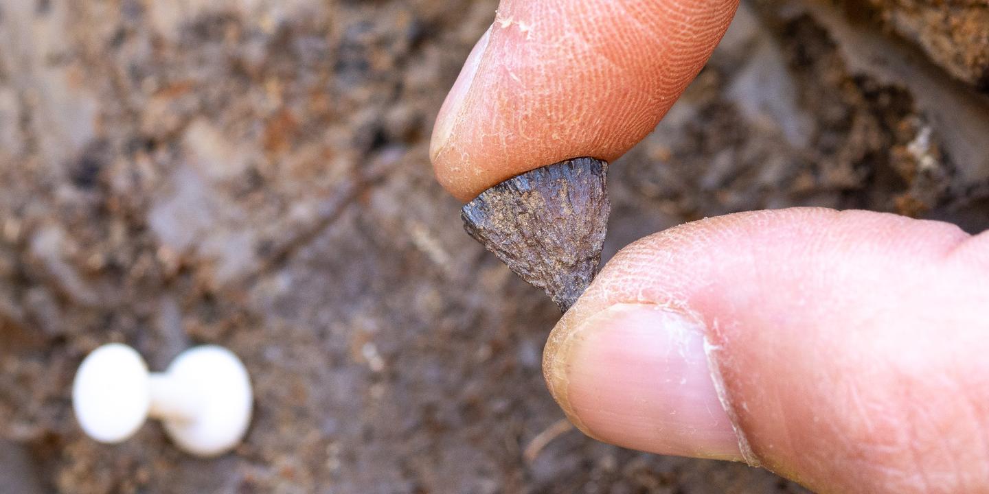 Des néandertaliens savaient allumer le feu, il y a 400 000 ans en Angleterre
