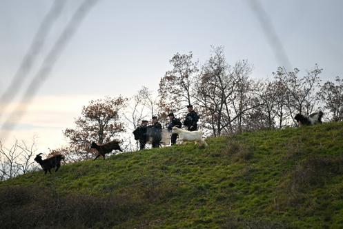 Des gendarmes en faction sur une colline, aux Bordes-sur-Arize, en Ariège, le 11 décembre 2025.
