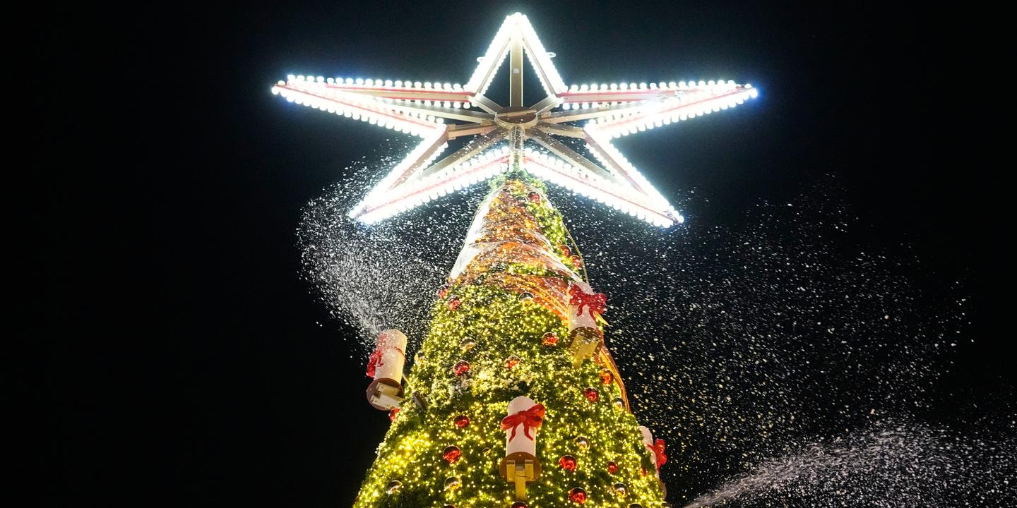 En Allemagne, un projet d’attentat sur un marché de Noël déjoué, cinq hommes arrêtés