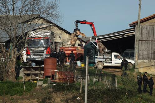 Des policiers observent l’enlèvement de la dépouille d’une vache dans une exploitation agricole des Bordes-sur-Arize, en Ariège, le 12 décembre 2025.