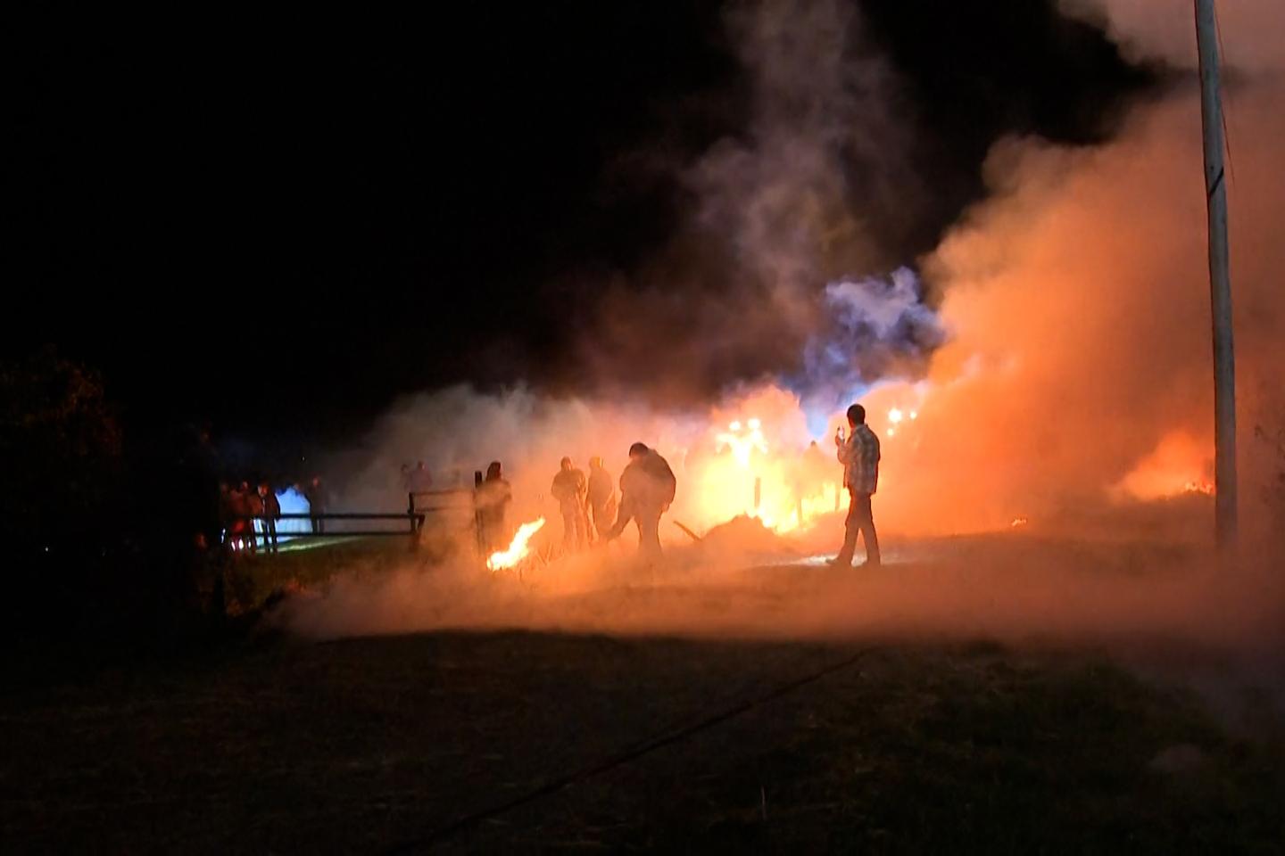 Dermatose nodulaire : les images des affrontements entre manifestants et gendarmes dans une ferme de l’Ariège